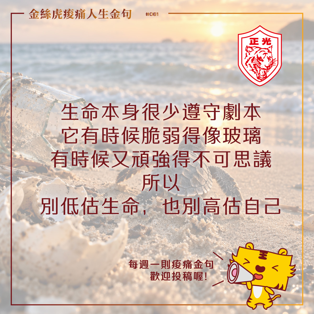夕陽海灘上，一隻剛破殼的小海龜努力朝大海前進，身旁散落著破碎的玻璃瓶。畫面呼應生命既脆弱又頑強的意象，傳達「別低估生命，也別高估自己」的金句。