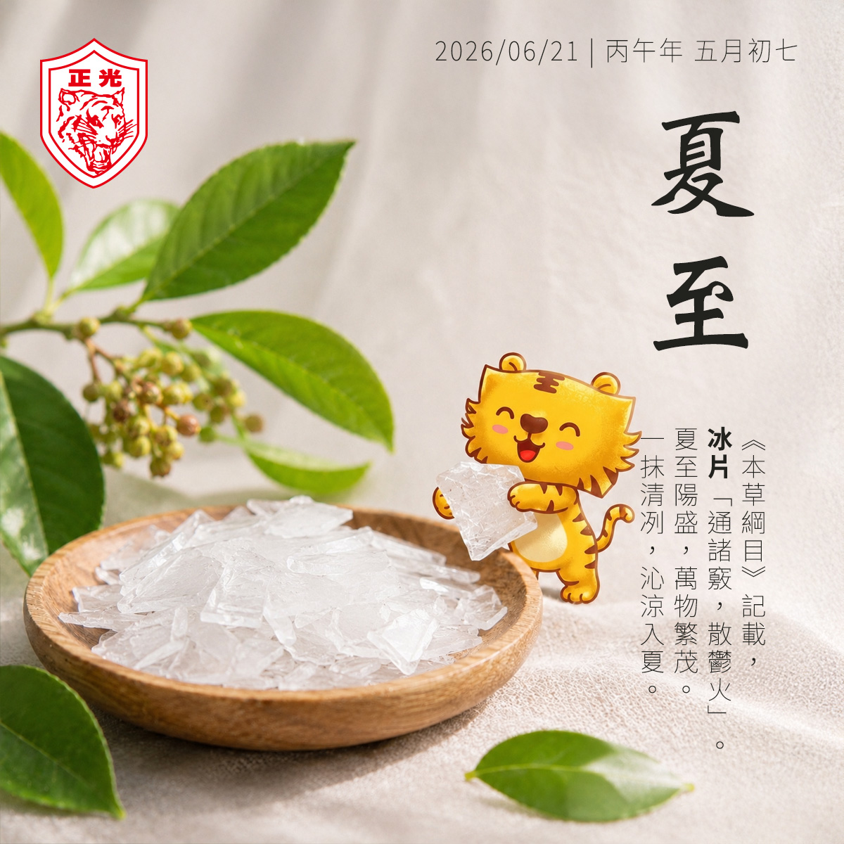 夏至節氣與冰片主題插圖,展示天然片狀冰片、龍腦香植物與金絲虎角色,介紹冰片的草本特色及《本草綱目》記載,傳達夏季養生與草本清香意境。
