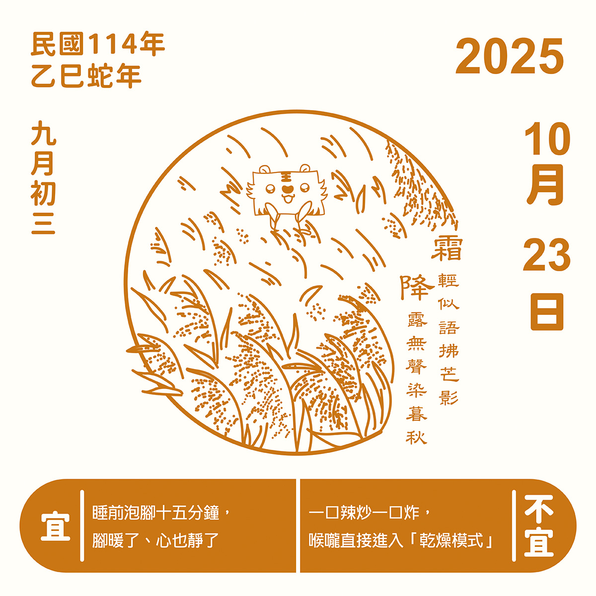 霜降：風起芒白，秋天的最後一個轉身