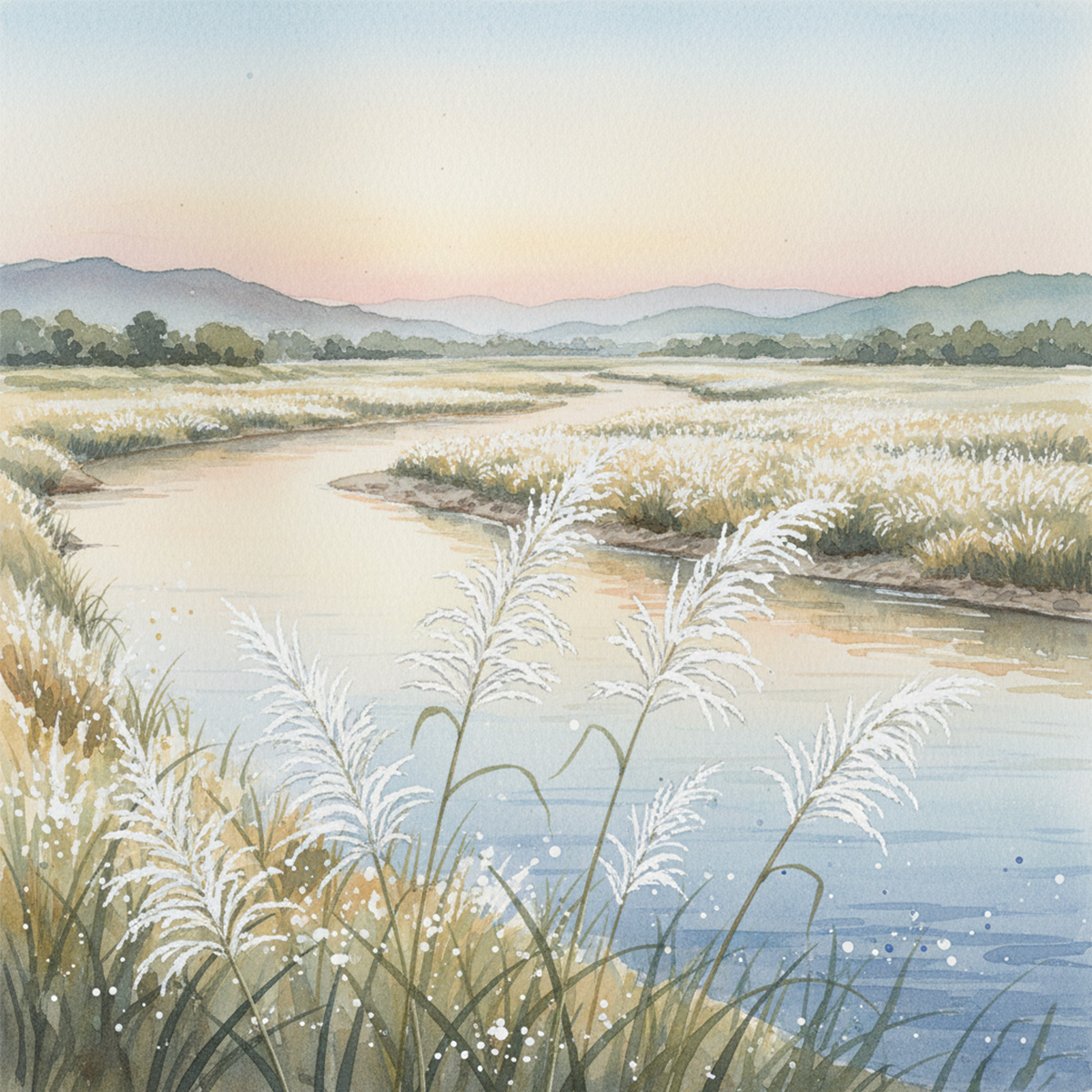 河畔一整片盛開的甜根子草,在夕陽餘暉下閃耀銀白光澤,草叢邊的水面倒映出柔和天光,遠方山巒綿延,是台灣秋季特有的河岸風景。