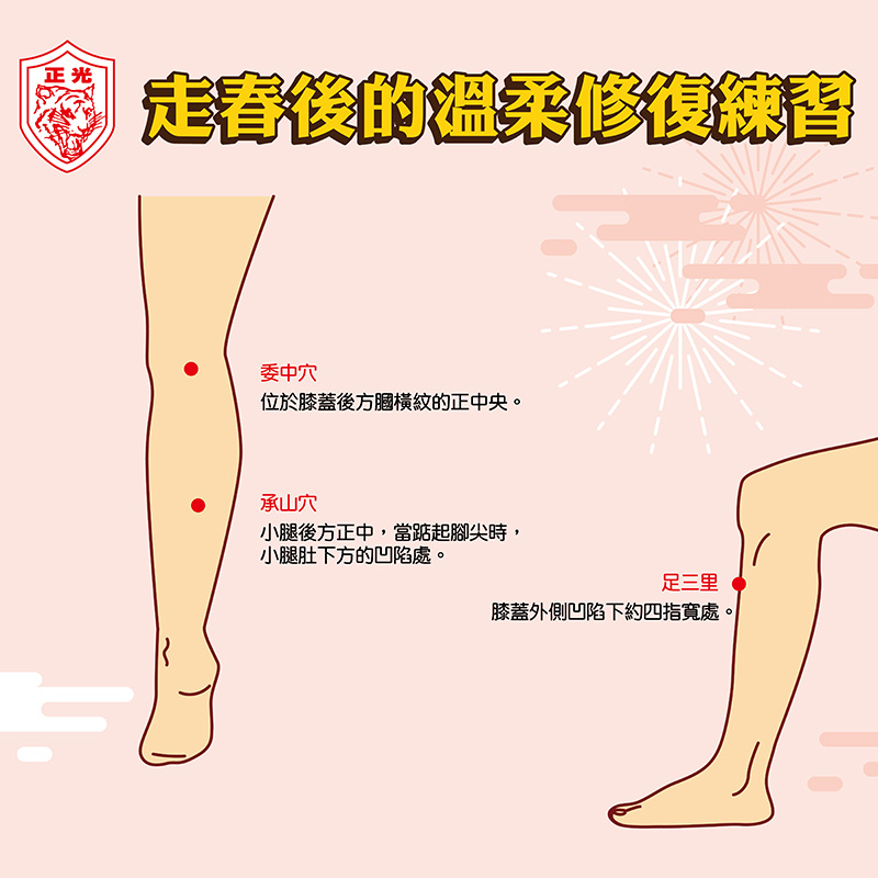 正光 2026 雨水節氣養生教學圖:走春後的溫柔修復練習。圖中標示三個關鍵穴位:委中穴(膝後橫紋正中)、承山穴(小腿後方正中凹陷處)與足三里(膝蓋外側凹陷下四指處)。搭配雷公根精華按摩,可舒緩走春疲勞、告別鐵腿,找回身體柔軟度。
