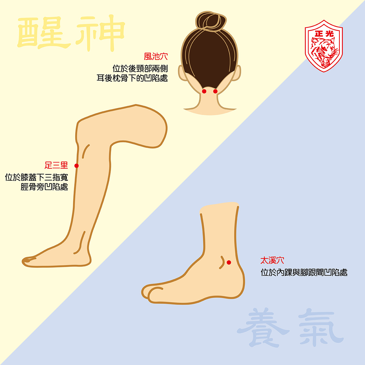 白露穴位養生,金絲虎推薦大家整理早晚可以按按的穴位