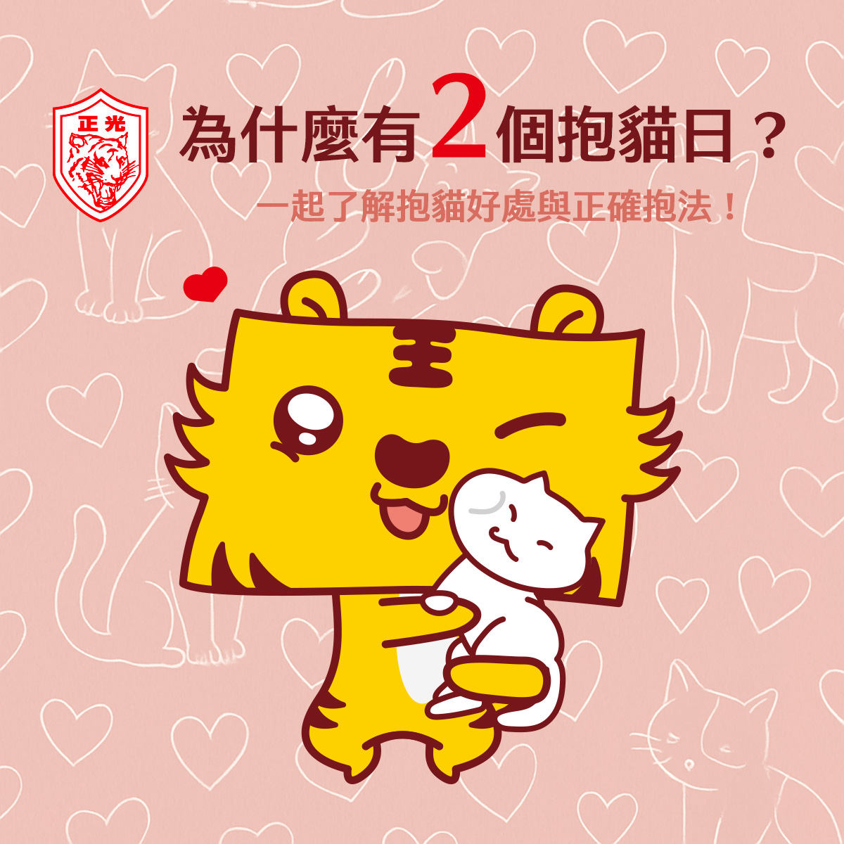 國際抱貓日：擁抱貓咪的療癒力，正光陪你與貓一起好好生活