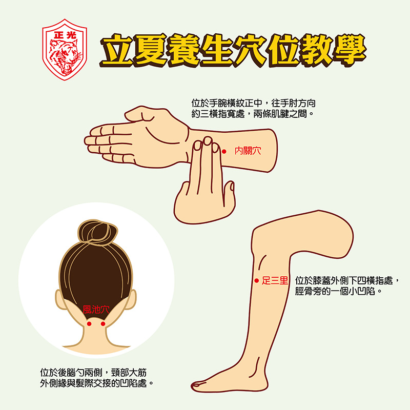 立夏養生穴位按摩教學圖，標示內關穴、風池穴、足三里穴位置，指引如何透過穴位按壓緩解初夏煩熱與疲勞，提升身心舒適感。