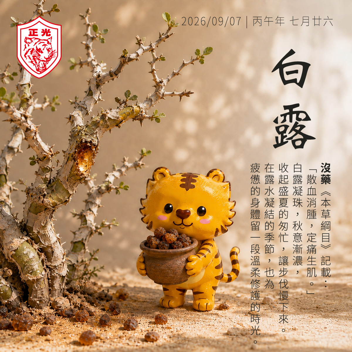 正光二十四節氣白露主題插圖,沒藥樹滲出天然樹脂,金絲虎抱著沒藥樹脂站在樹下,介紹沒藥草本智慧與白露節氣養生