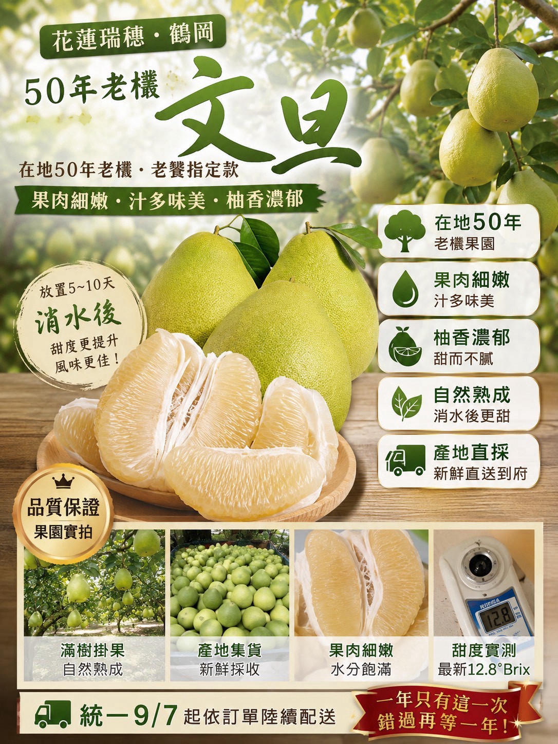 |花蓮瑞穗|鶴岡50年老欉文旦|10斤禮盒約12~14顆1