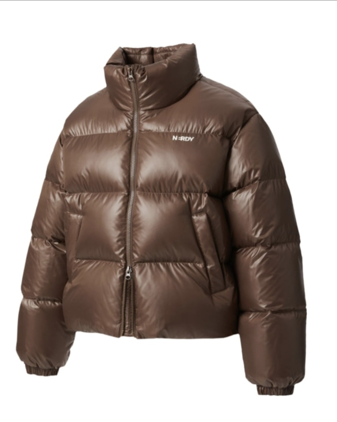 預購］—特價— 韓國NERDY W'S ESSENTIAL GLOSSY DOWN JACKET 亮面