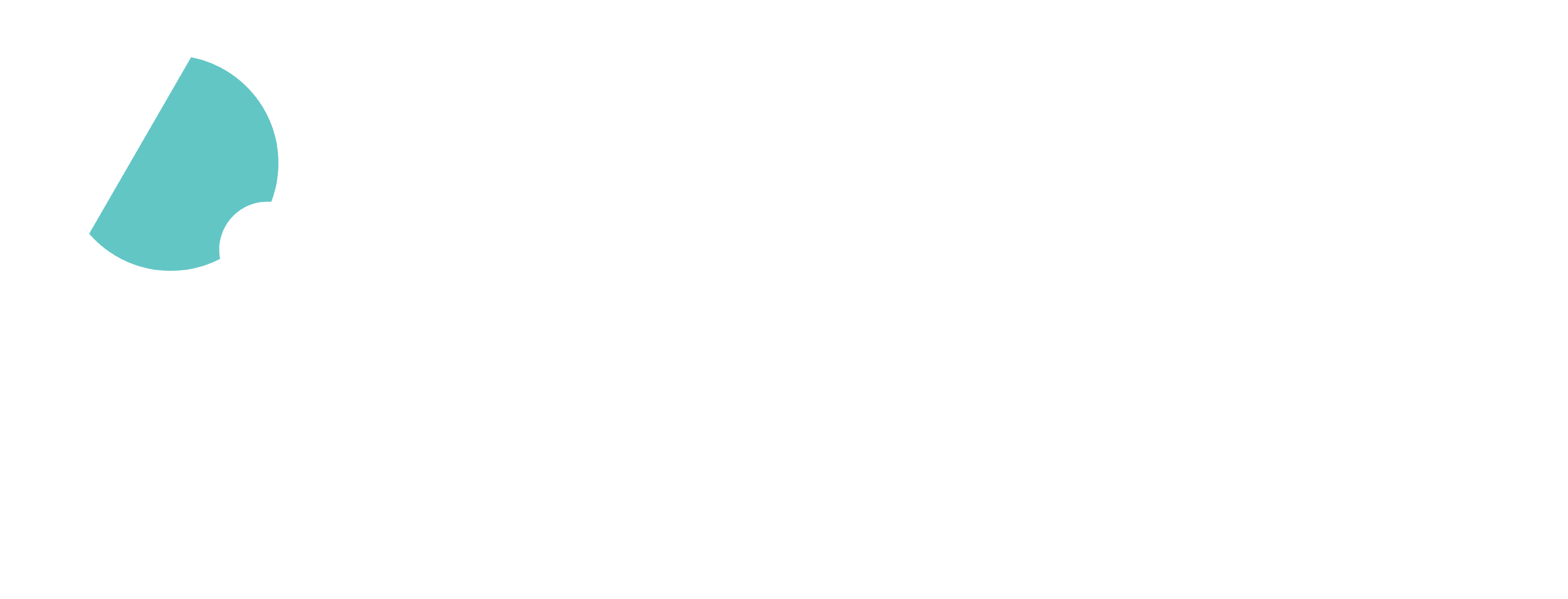 CarWink