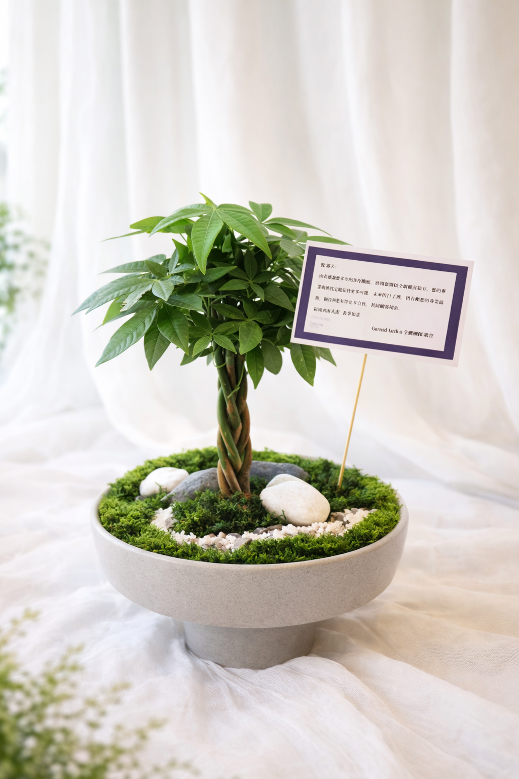 ChatGPT Image 2026年1月29日 上午10_47_29.png