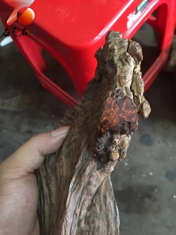 海南黃花梨360度滿瘤疤15mm手珠【至尊王者】重量31.8克- 石至名歸
