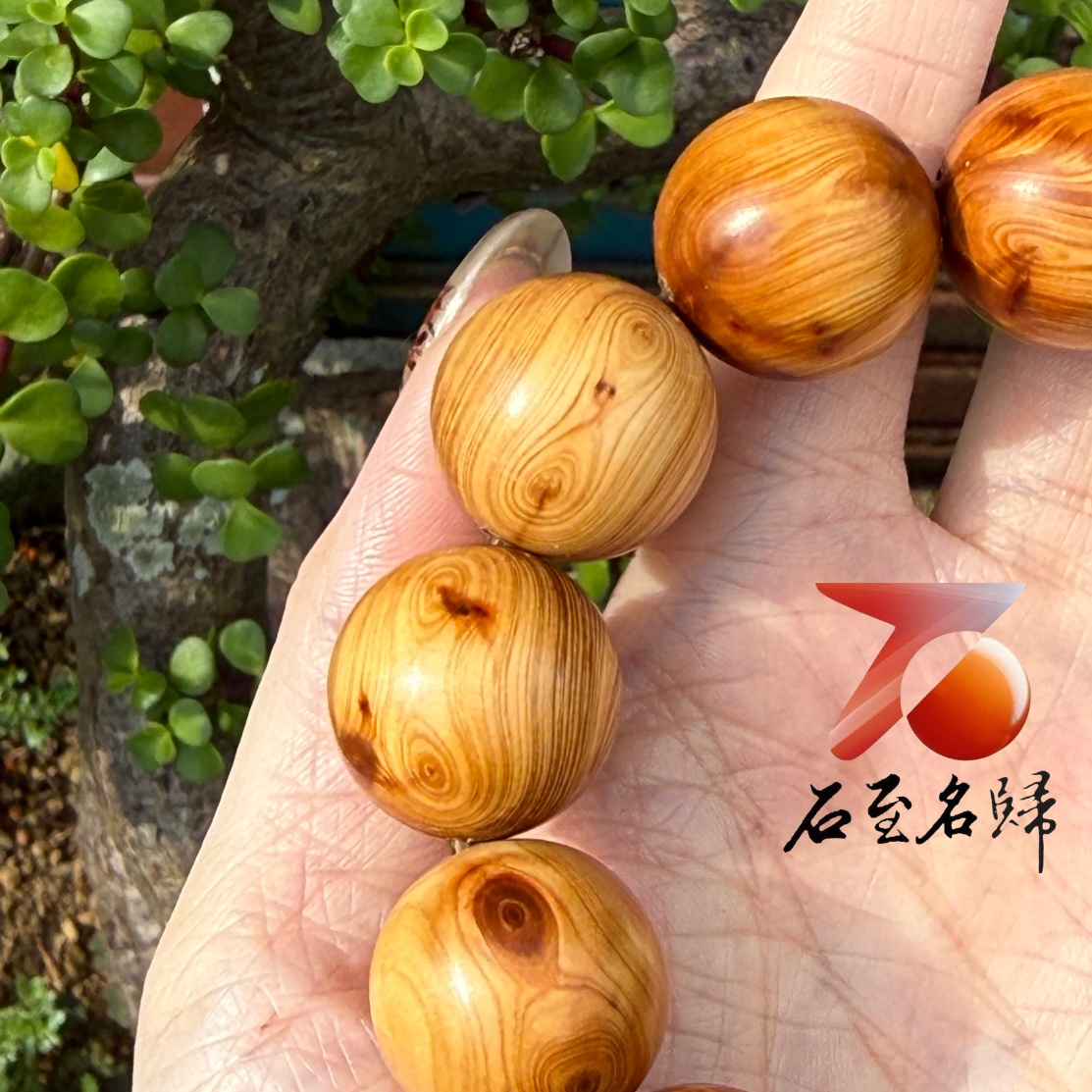 天然太行崖柏野生老料 對眼20mm手珠5