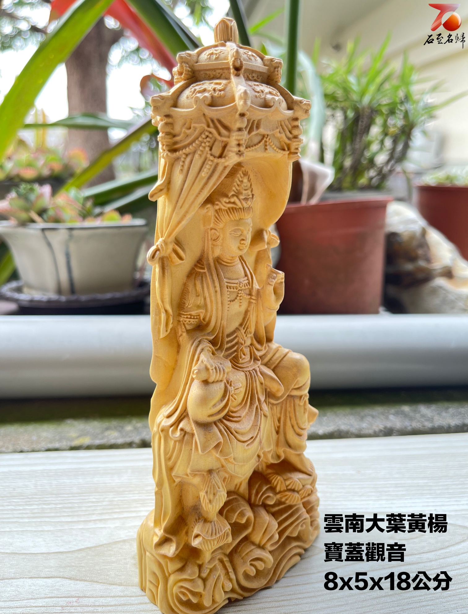 優れた品質 中国 唐木黄楊木彫刻 霊芝 如意 C 3690 彫刻/オブジェクト