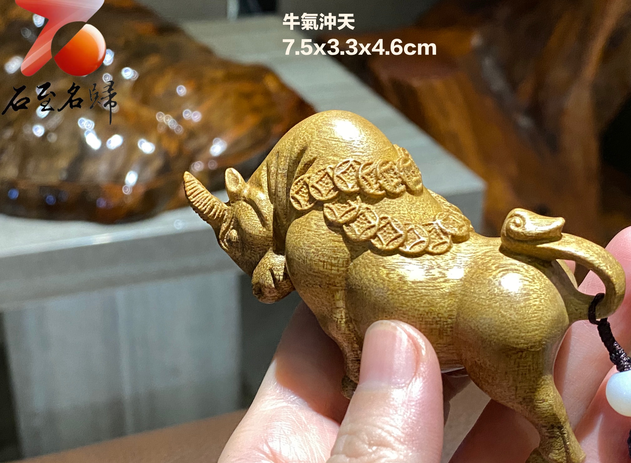 貴州金絲楠小葉楨楠【金牛送財】