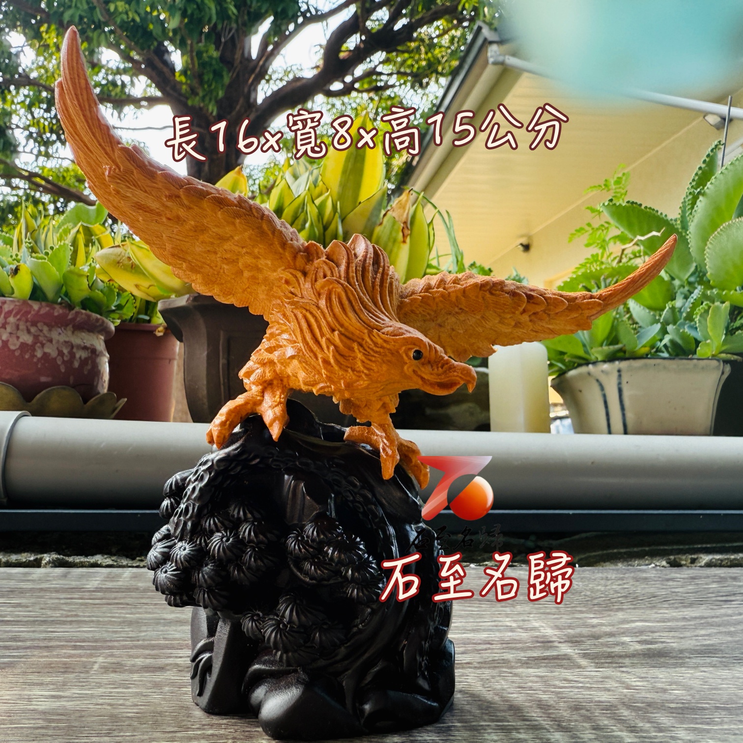 雲南黃金檀+印尼黑檀木底座【大展鴻圖-老鷹】4