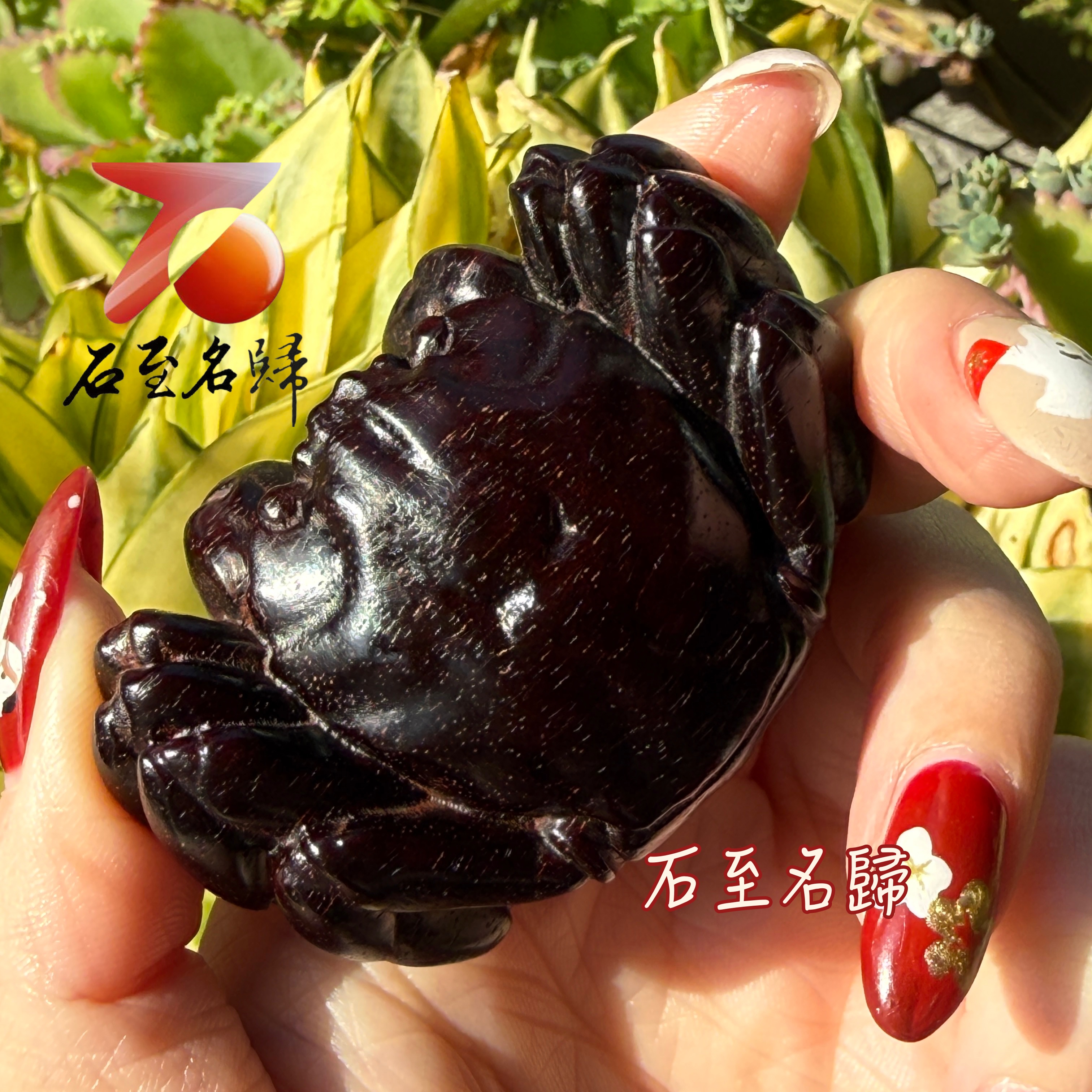 天然 印度小葉紫檀高油密爆滿金星樹心料 湘工手作【八方來財】4