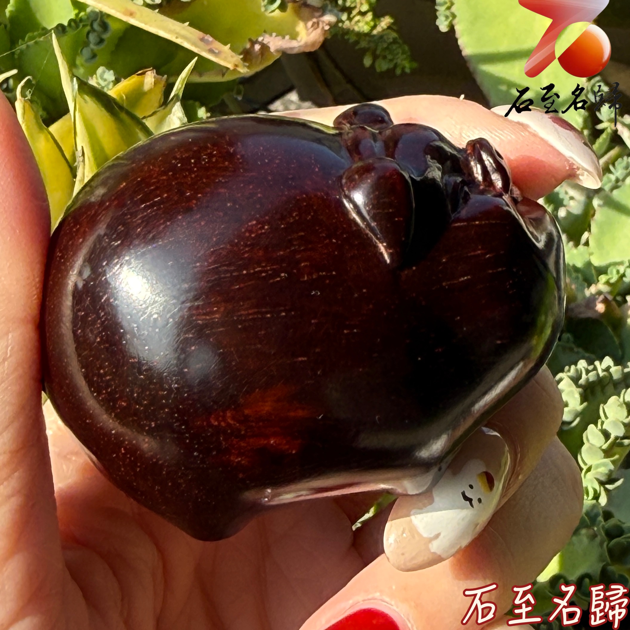 天然 印度小葉紫檀高油密超滿金星樹心料 湘工手作【轉運金豬】4