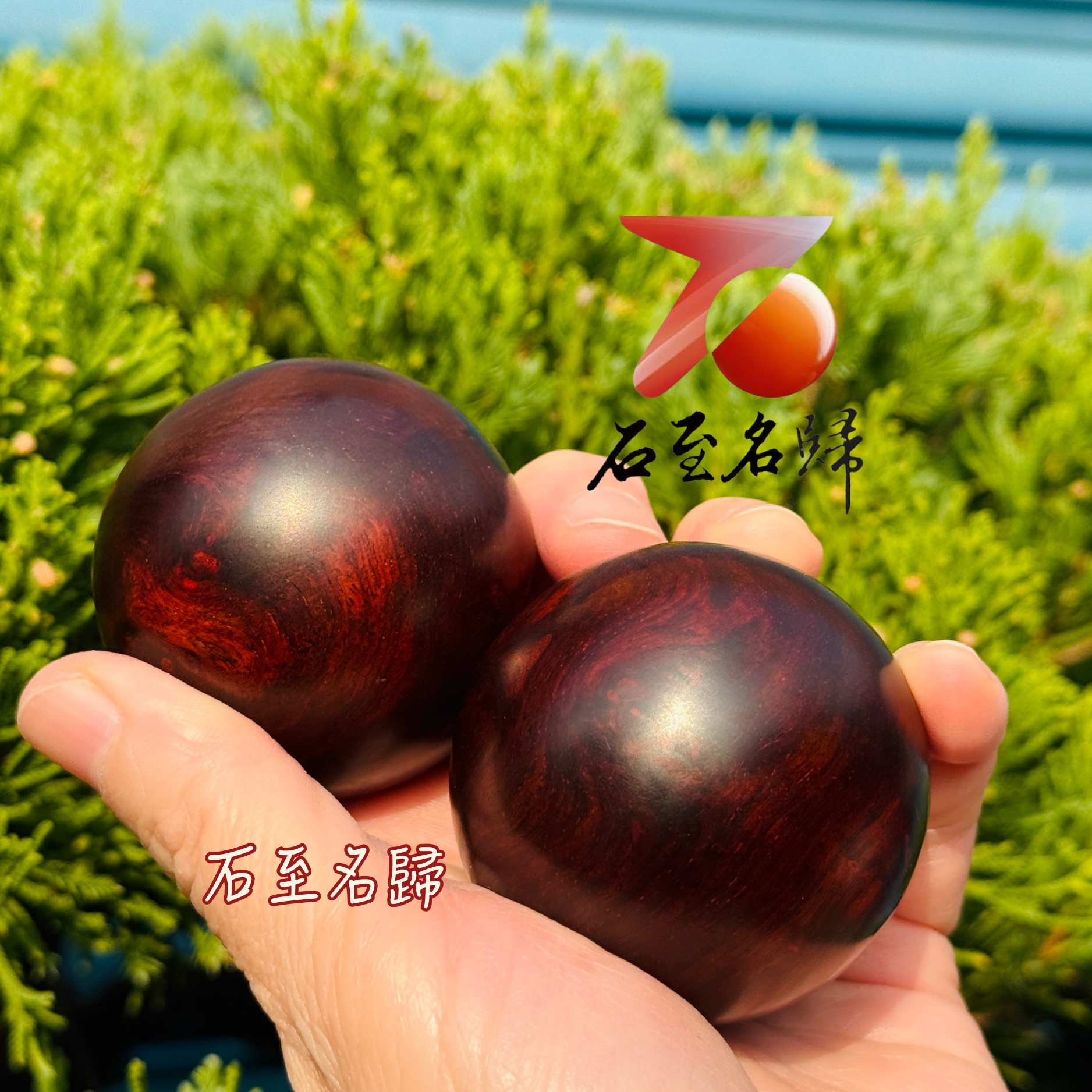 天然印度小葉紫檀|帶瘤疤保健球收藏套組 單顆直徑 5 公分 溫潤耐看 日常把玩首選2