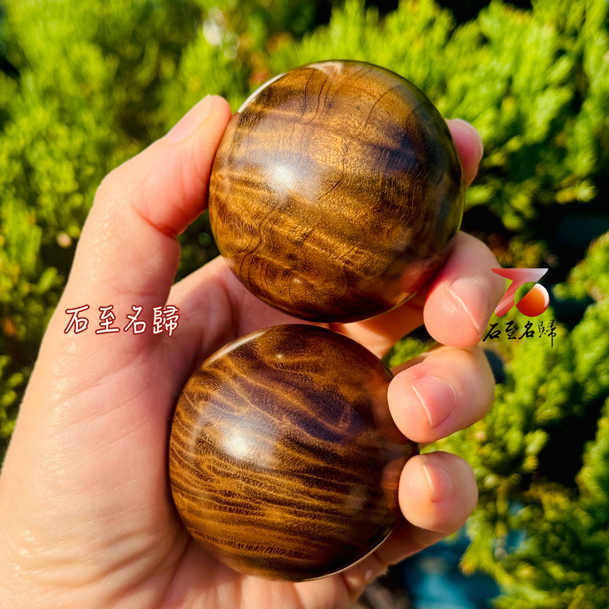 天然頂級金絲楠木烏木老料 超爆滿水波 × 罕見龍膽紋保健球收藏套組5