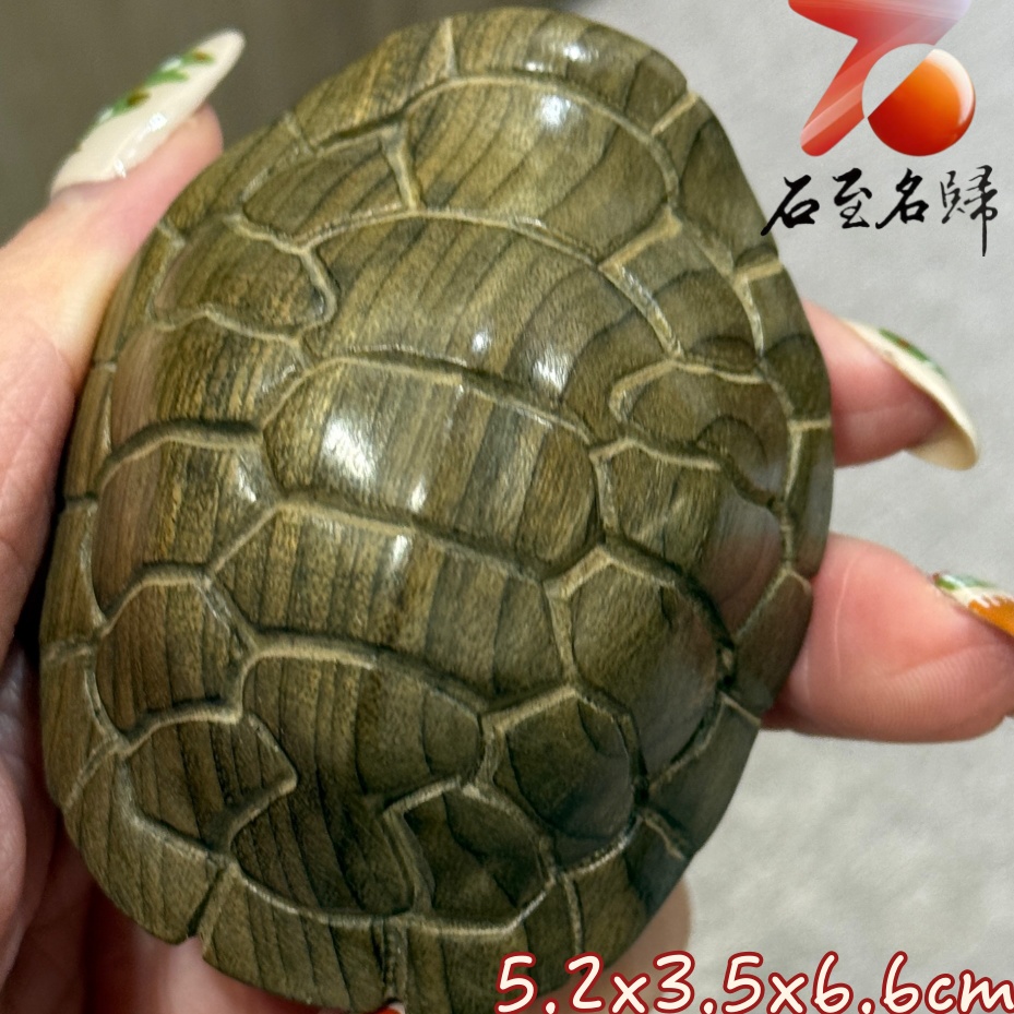 金絲楠木小葉楨楠陰沉綠料雕刻【富甲天下掛件/吊飾】厚實龜殼寓意穩紮穩打，富到發光