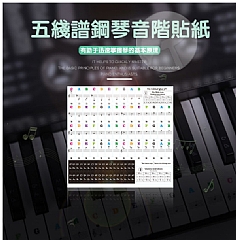 88/61/54/49鋼琴鍵盤貼透明貼紙簡譜音階貼紙4