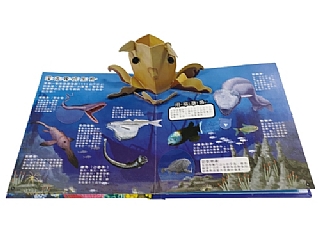 雙美-海洋立體遊戲書5