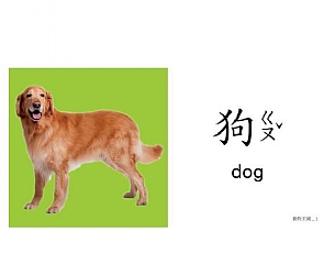 風車-FOOD超人聰明認知大圖卡-已有新版,此款賣完不訂。2