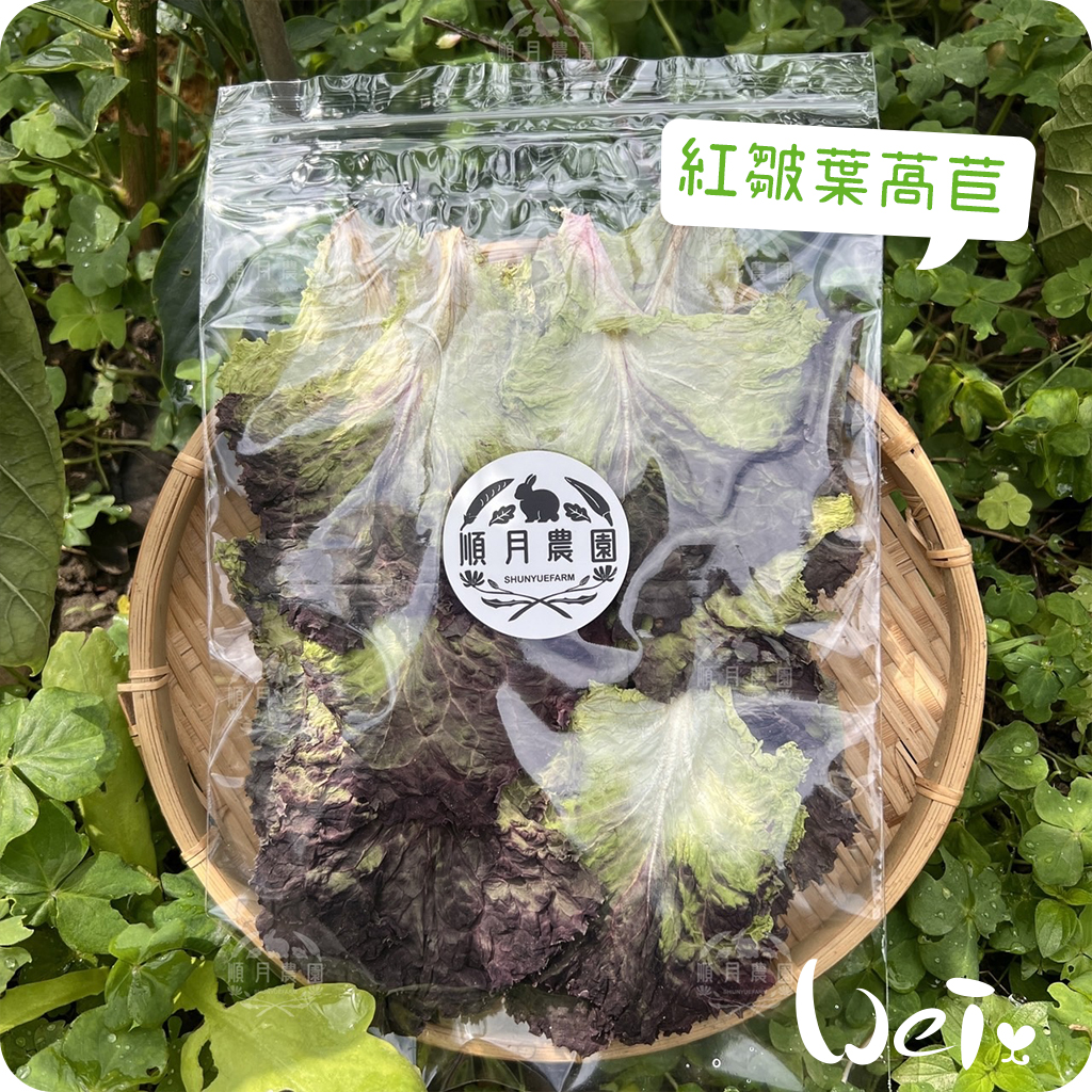 順月農園紅皺葉萵苣02.jpg