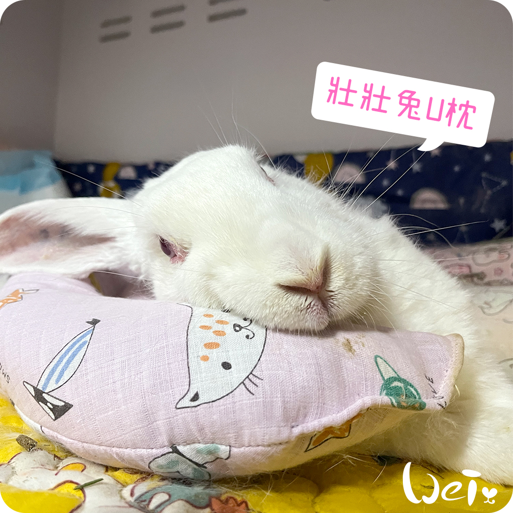 拐杖躺 兔U枕13.jpg