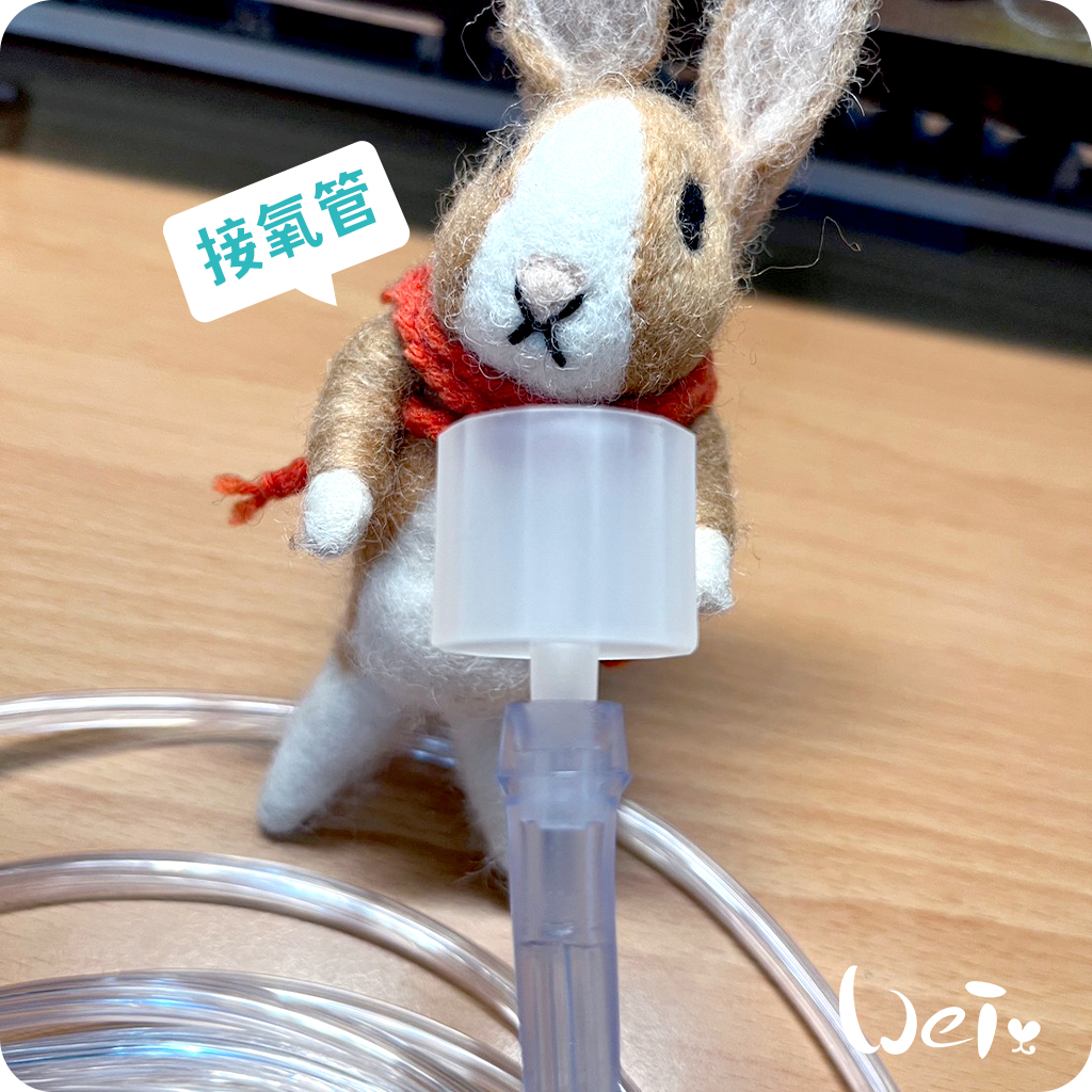 氧氣延長管05.jpg