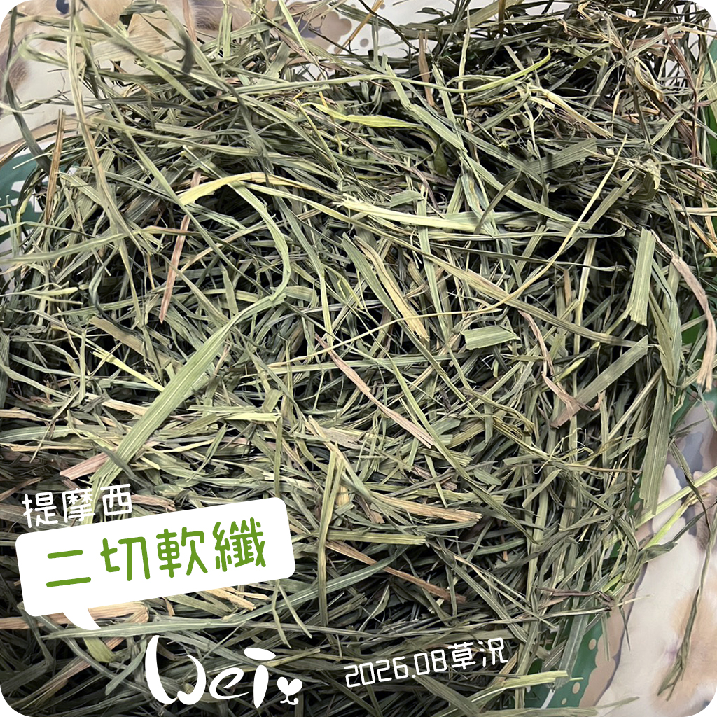 兔子洞二切 Soft軟纖0810.jpg