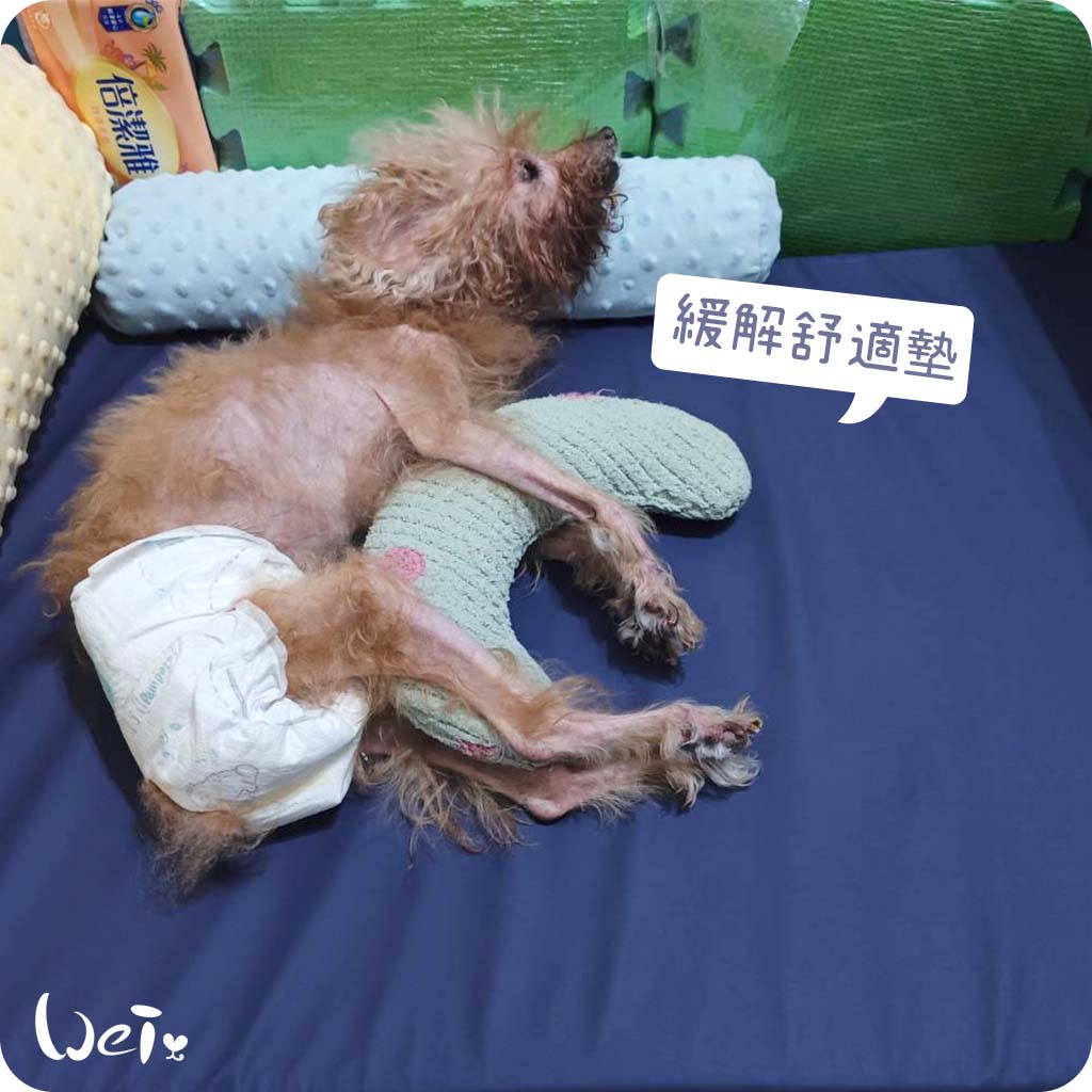 緩解舒適墊01-6.jpg