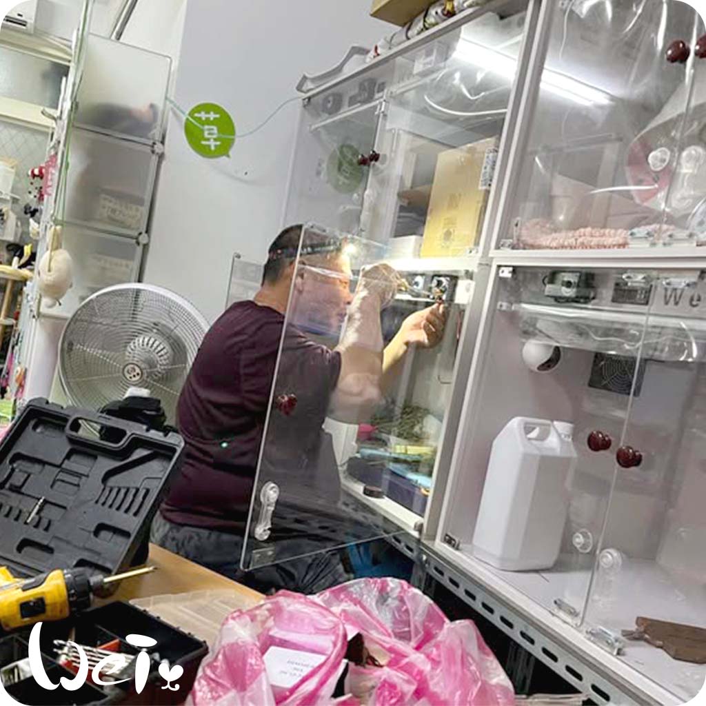 兔兔住宿房製作過程 兔兔住宿房製作過程