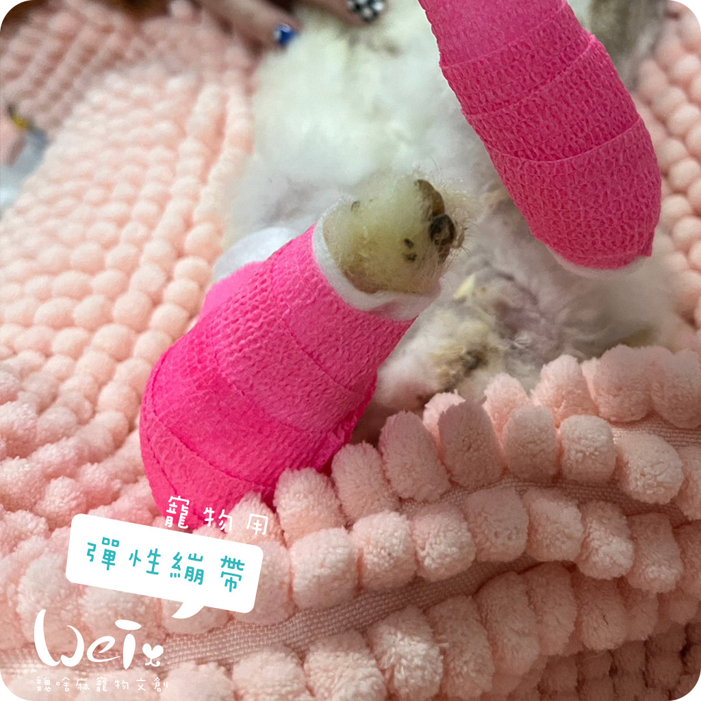 彈性繃帶_all06.jpg