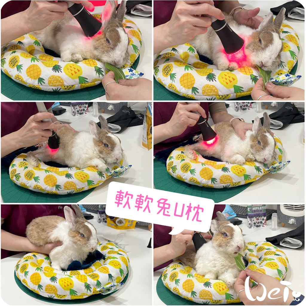 拐杖躺 兔U枕02.jpg