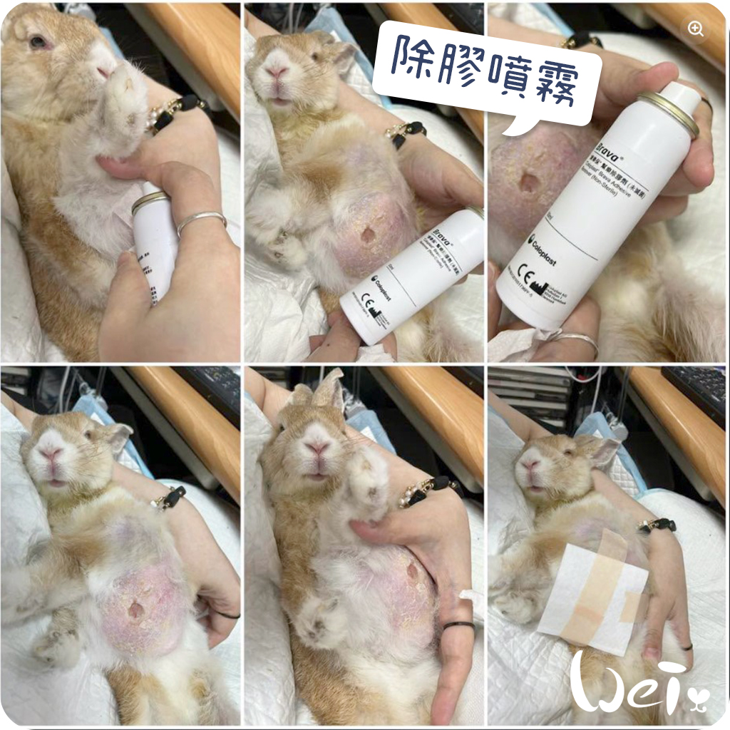 康樂保除膠噴霧03.jpg