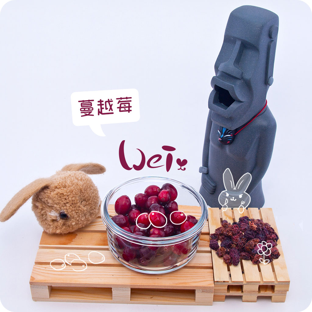 蔓越莓01.jpg