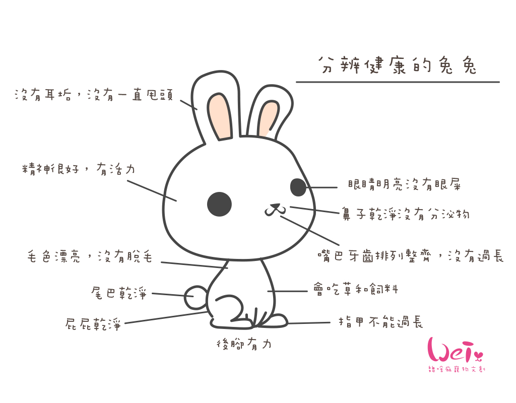 伺奉-入門image05.jpg