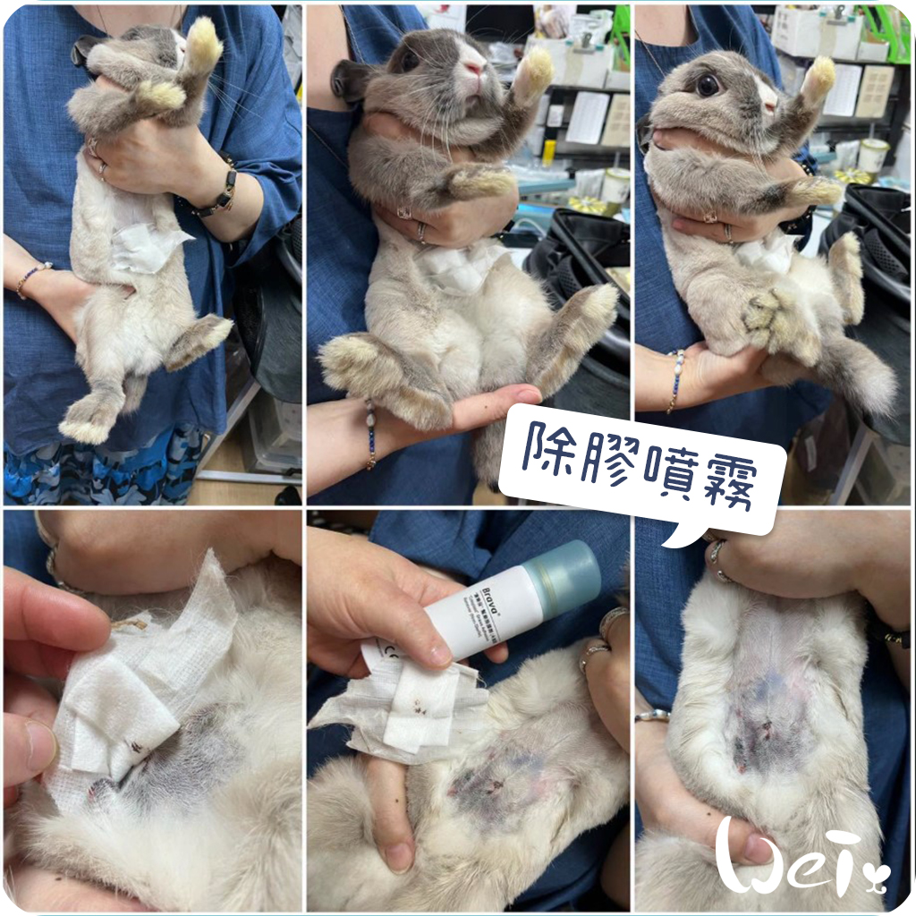 康樂保除膠噴霧02.jpg