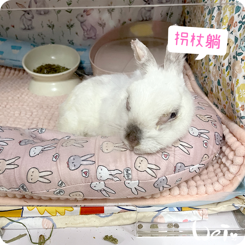 拐杖躺 兔U枕14.jpg