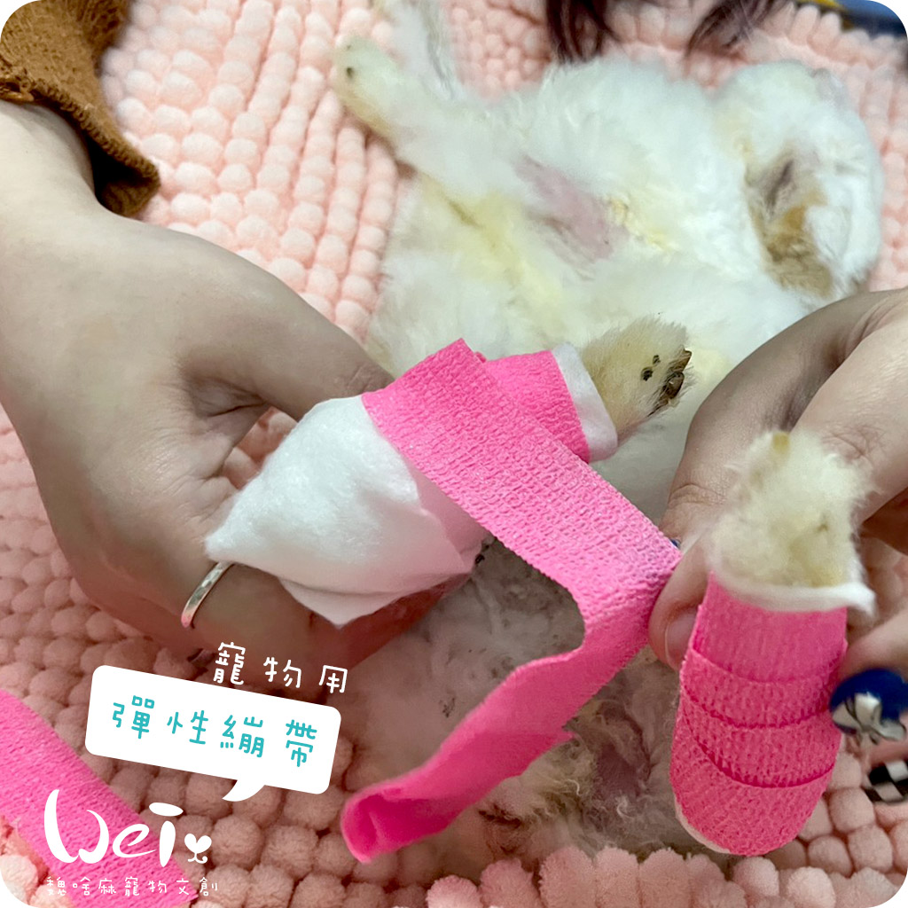 彈性繃帶_all05.jpg