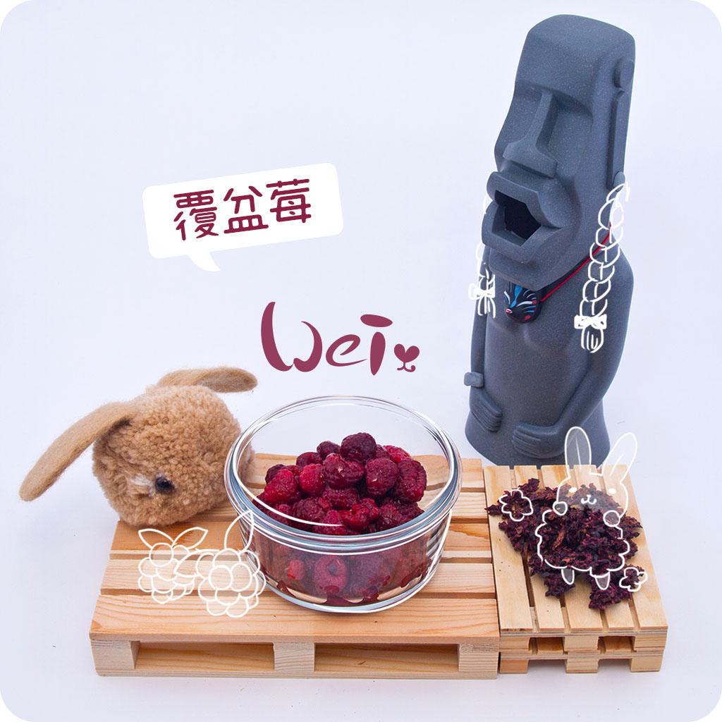 覆盆莓01.jpg
