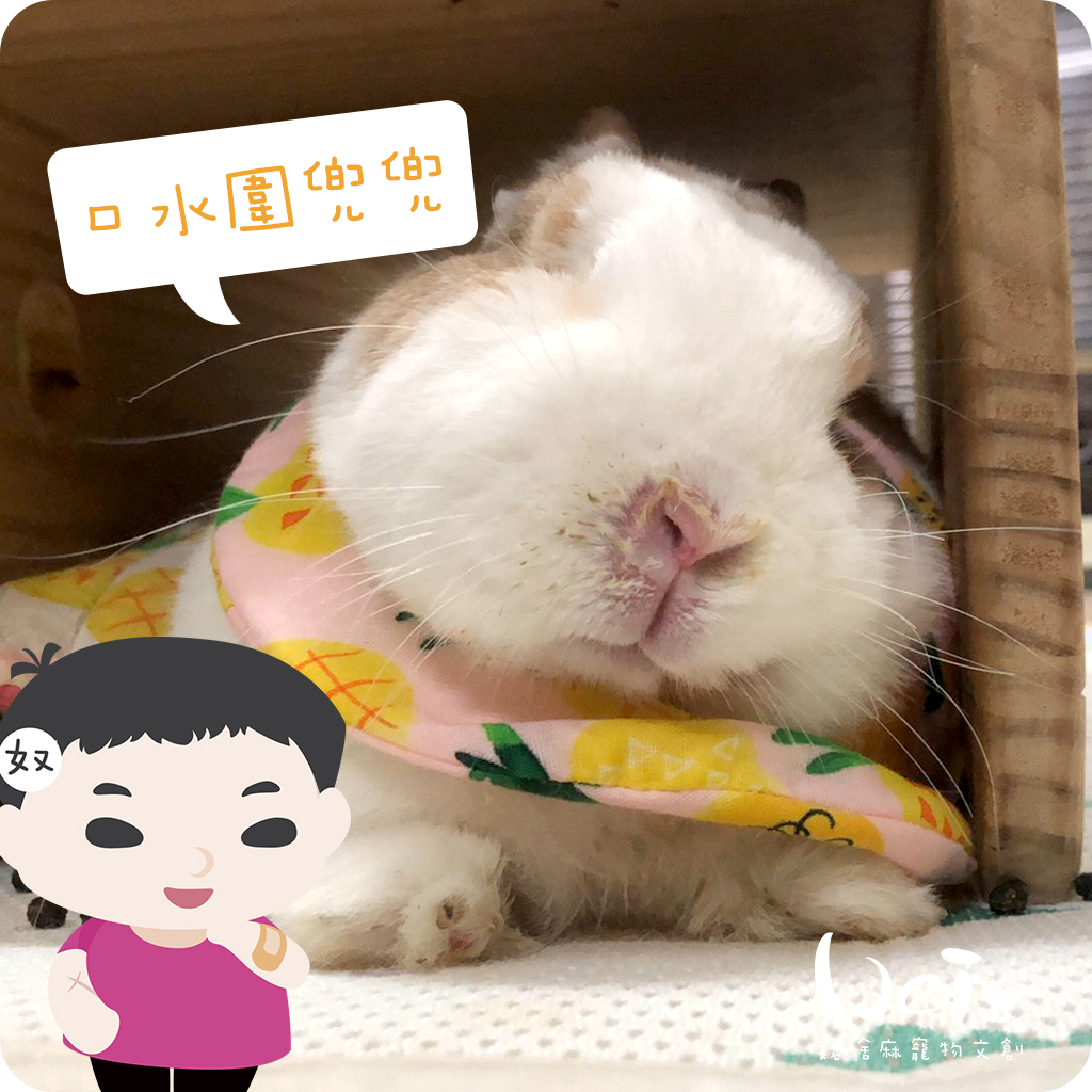 口水紗布巾06.jpg