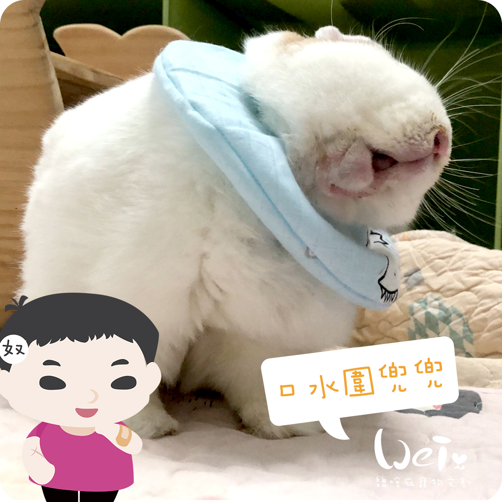 口水紗布巾09.jpg
