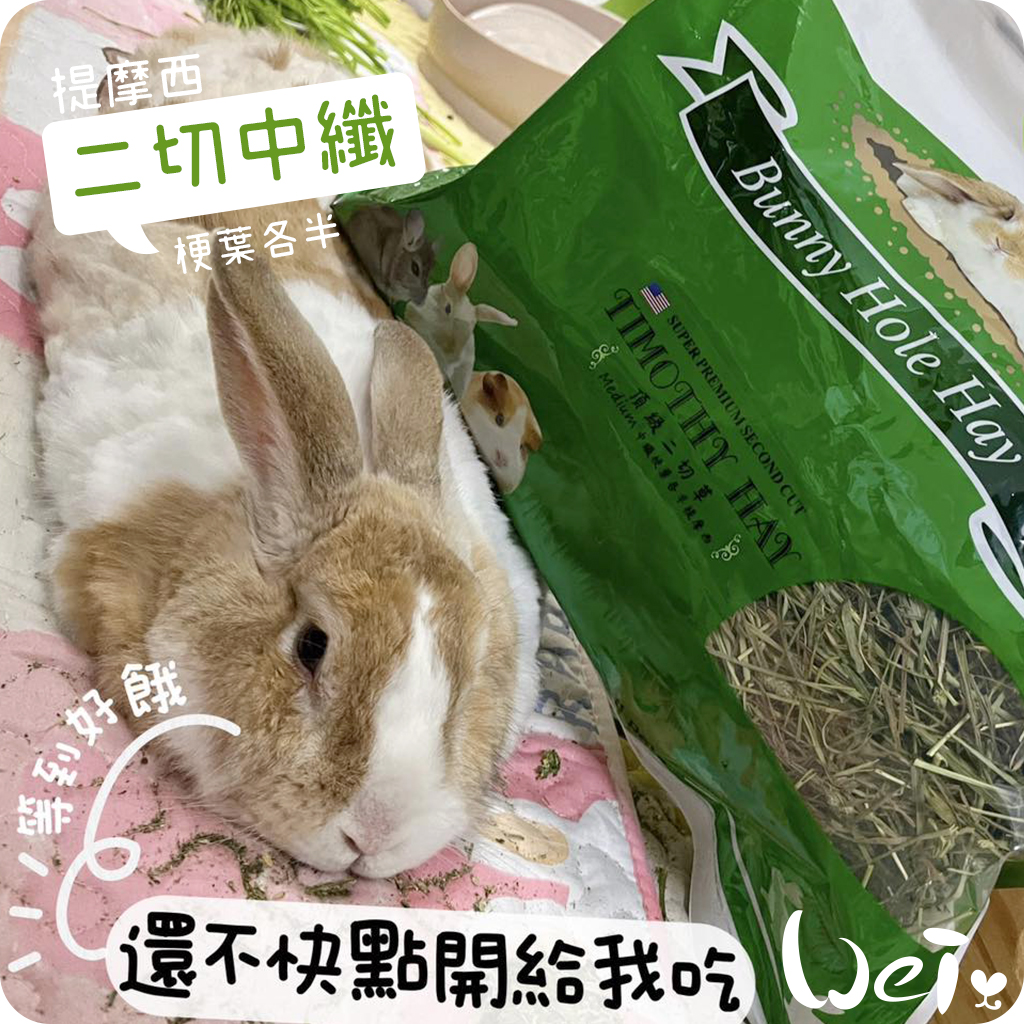 兔子洞二切 Medium中纖10.jpg