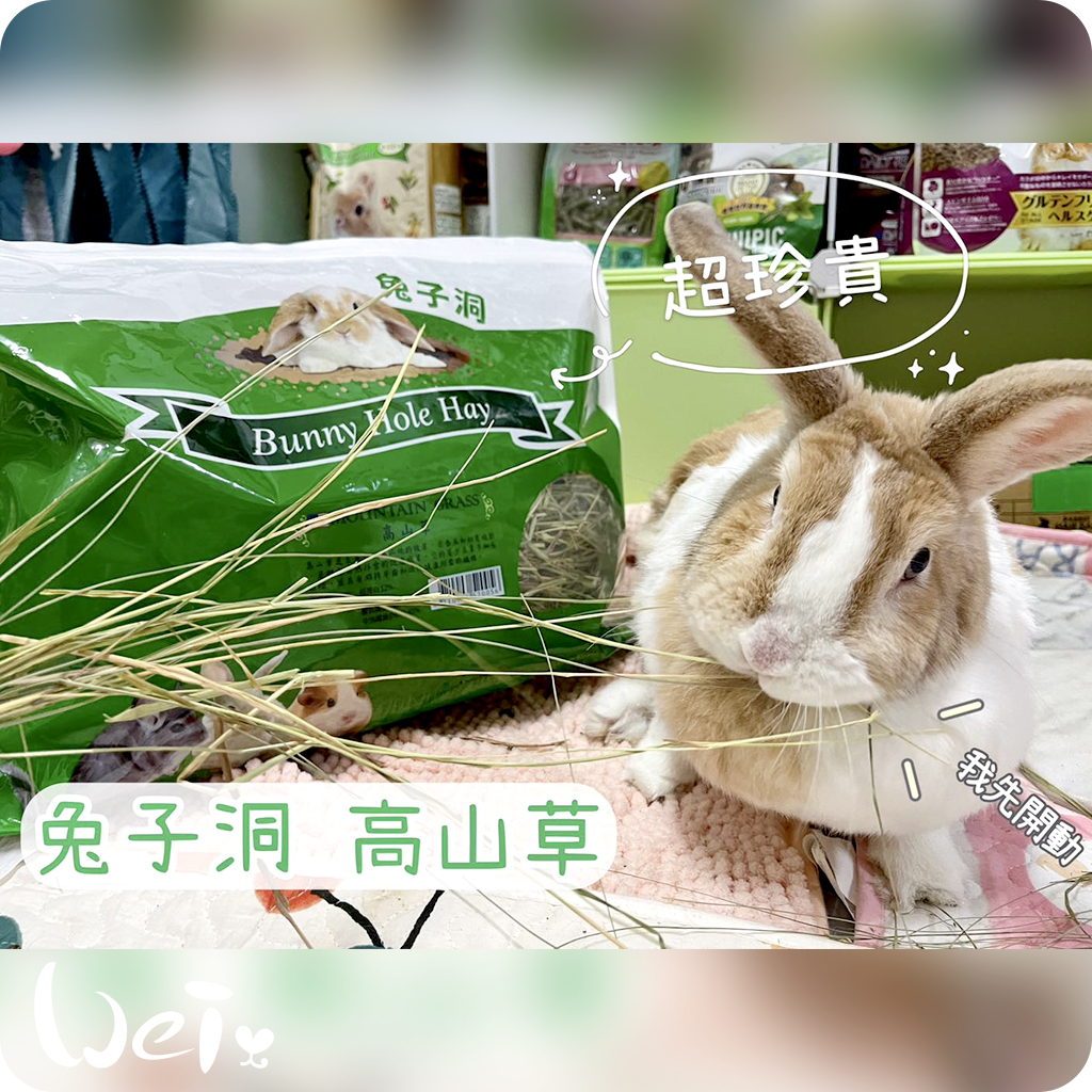 兔子洞高山草13.jpg