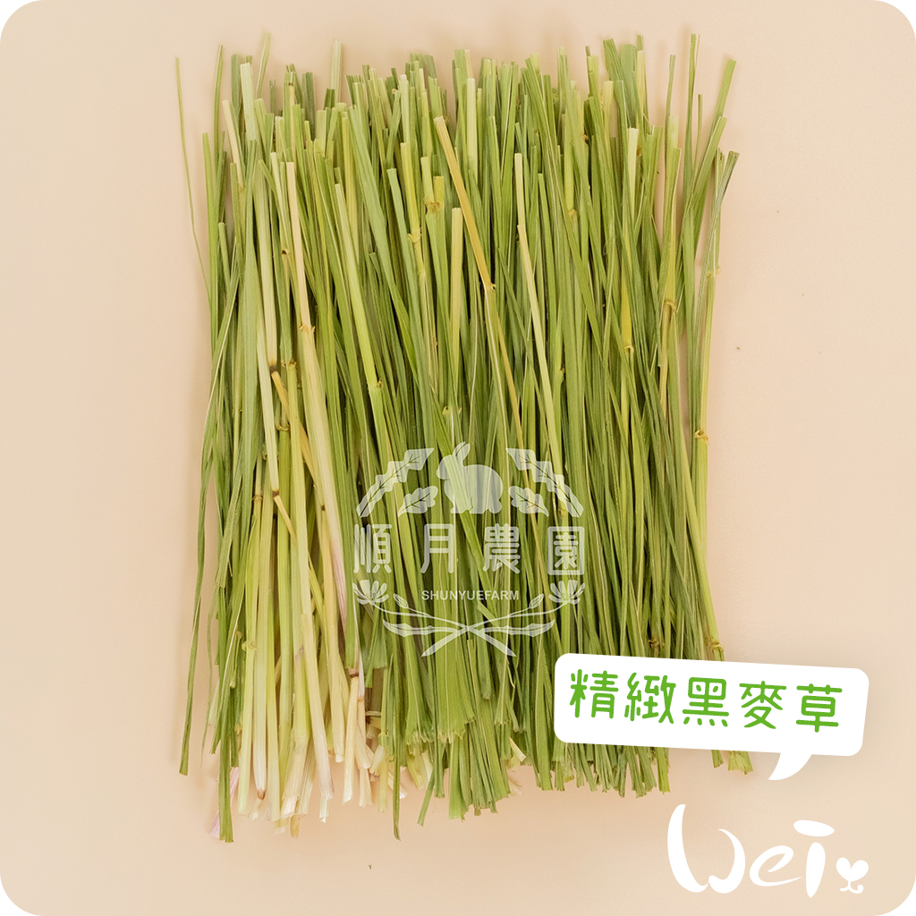 順月農園精緻黑麥草01.jpg