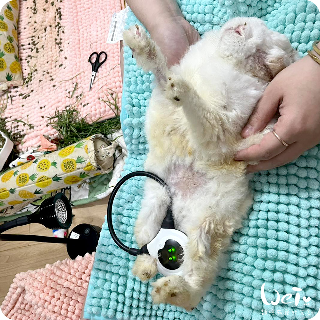 UVB燈分享03.jpg