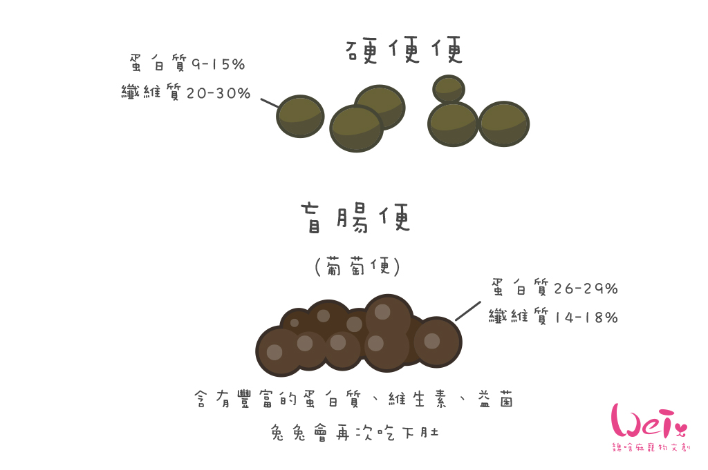伺奉-入門image02.jpg