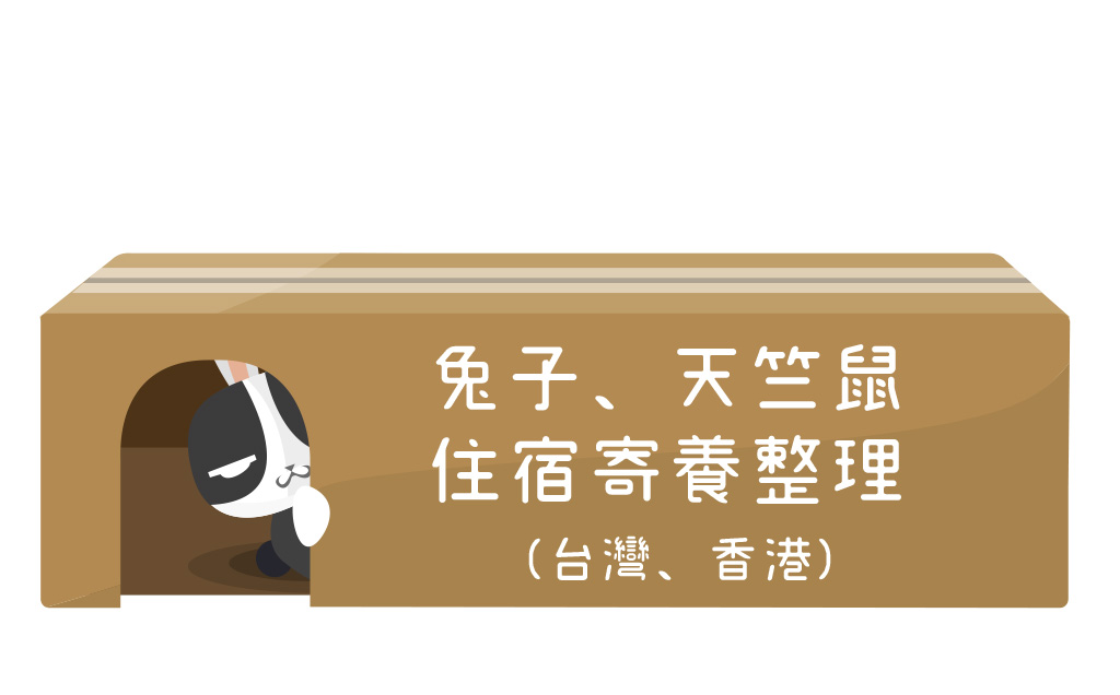 好用資訊-兔image03.jpg