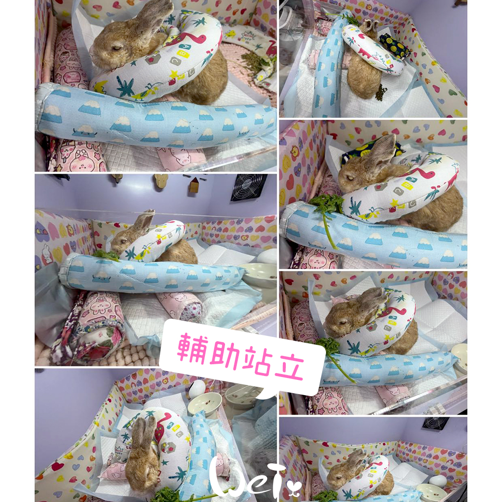 拐杖躺 兔U枕09.jpg